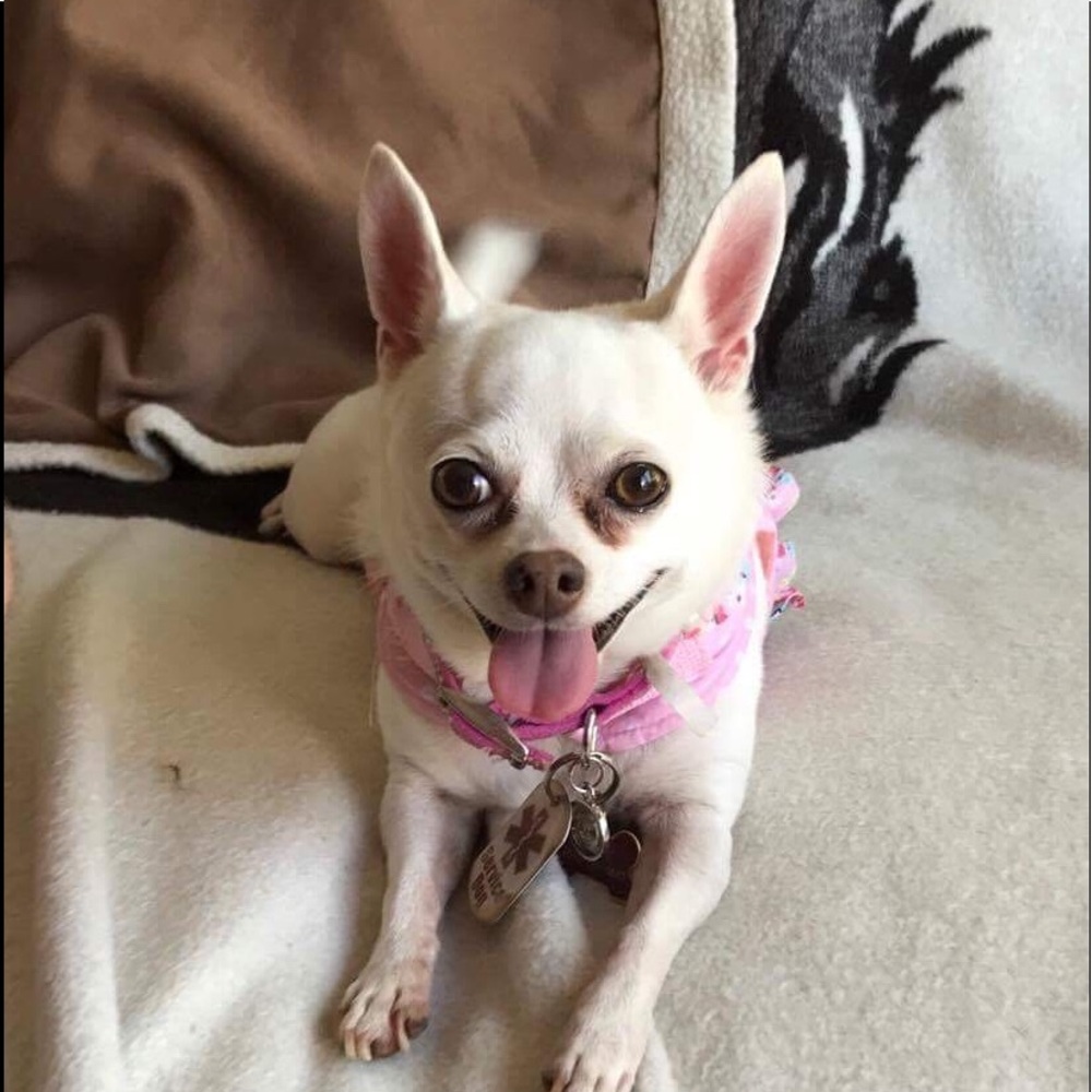 Meet your Posher, Zen